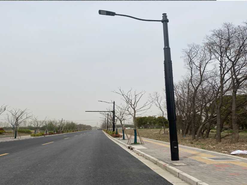 望谟县上海综合杆 太阳能路灯工程